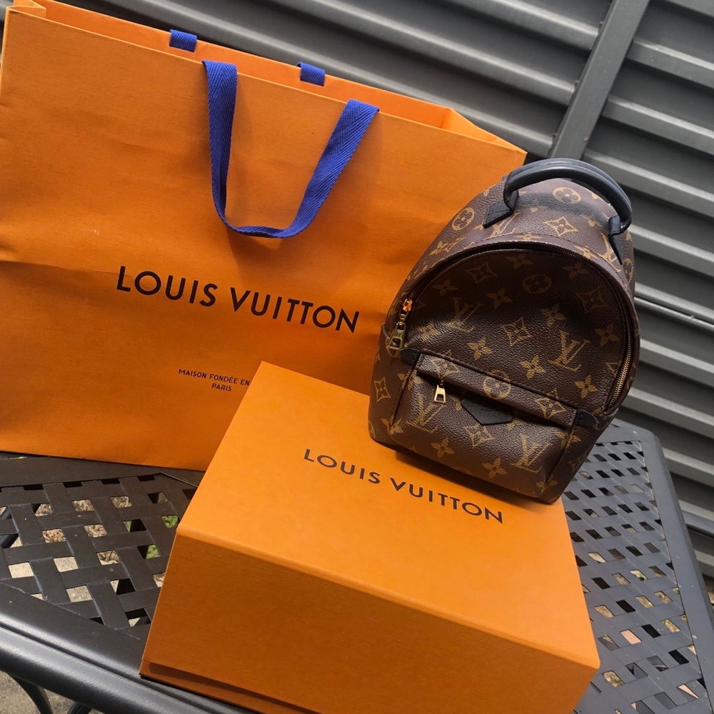 louis vuitton palm springs mini